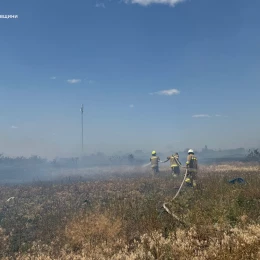 Пожежа на Миколаївщині: Фото: ДСНС